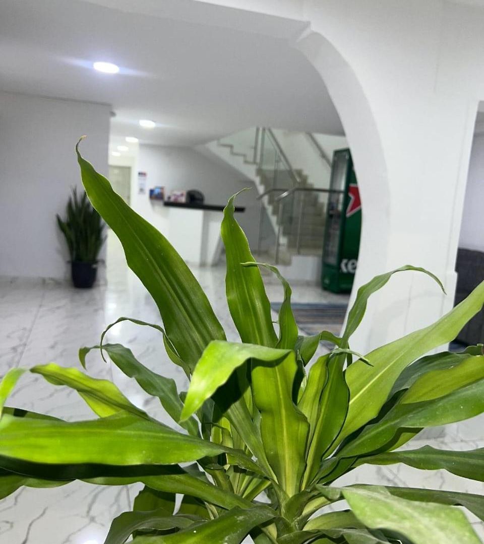 Hotel Lago Hotel Cartagena Cartagena